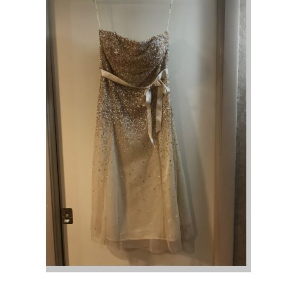 Special Occasion Dress. size XL